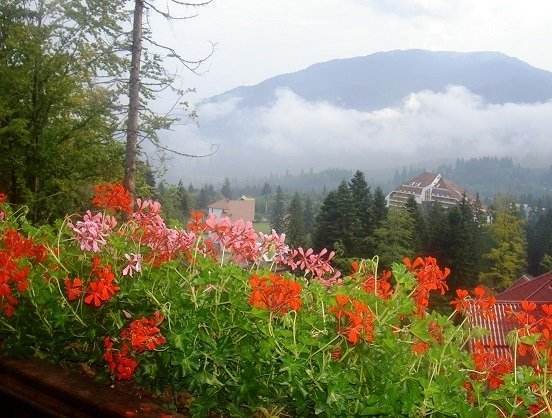 panorama de la balconul pensiunii voineasa